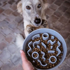 DISTRICT70 Slowfeeder voor honden 21 cm bamboe ijsblauw