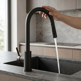 Keukenkraan Rea Fresh Touch Black Matt