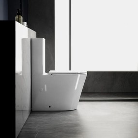Sapho Avis staand toilet randloos met vortex spoeling en softclose zitting wit glans