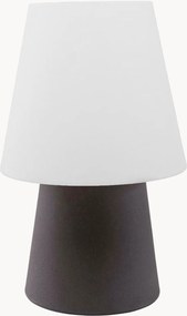 Dimbare in- & outdoor LED decoratieve lamp No. 1