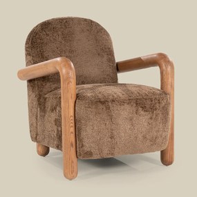 Fauteuil Met Hout Bruin