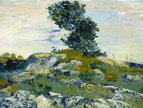 Kunstreproductie The Rocks & The Oak, Vincent van Gogh