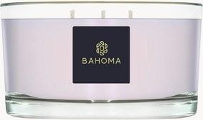 Met de hand gegoten ambachtelijke 3-lonts geurkaars Alchemy (wilde dophei, eikenhout)