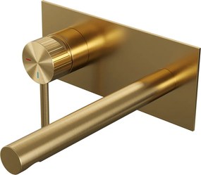 Brauer Stripe inbouw wastafelkraan ColdStart met rechte uitloop en afdekplaat model A2 messing geborsteld PVD