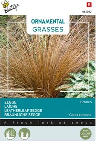 Buzzy seeds - bloemzaden - Ornamental Grasses 'Carex comans Bronco'