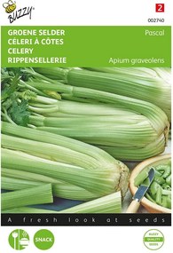 Buzzy seeds Bladselderij Pascal zaden - Groene Volpijp