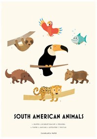 Ilustratie South American Animals, Erik Wintzell