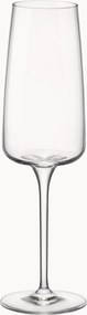 Champagneglazen Planeo, 4-delig