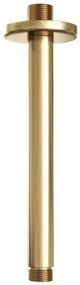 Brauer Gold Edition Plafondarm - 20cm - PVD - geborsteld goud 5-GG-015
