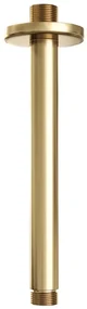 Brauer Gold Edition Plafondarm - 20cm - PVD - geborsteld goud 5-GG-015