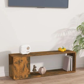 vidaXL Tv-meubel 100x24x32 cm bewerkt hout gerookt eikenkleurig