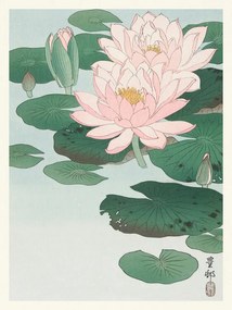 Kunstreproductie Water Lily / Lotus (Japandi Vintage) - Ohara Koson, (30 x 40 cm)
