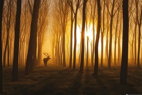 Poster Stefan Miron - Hirsch im Wald, (91.5 x 61 cm)