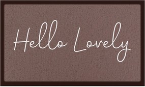 Deurmat Hello Lovely