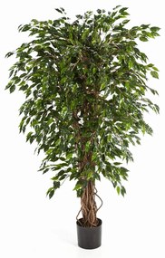 Ficus Hawaiian Liana kunstplant - 180 cm