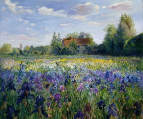 Kunstreproductie Evening at the Iris Field, Timothy Easton