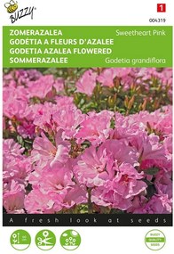 Buzzy seeds Zomer Azalea zaden - Salmon Princess