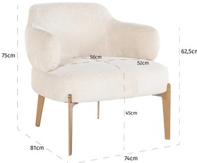 Fauteuil Met Gouden Poten