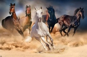 Poster Paarden - Five horses, (91.5 x 61 cm)