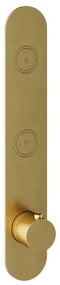 Hotbath Cobber Afbouwdeel thermostaat Verticaal met 2 push buttons Geborsteld Messing PVD PB066