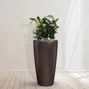 Combideal - Calathea Maui Queen inclusief zelfwaterende pot Angel Espresso M -100cm