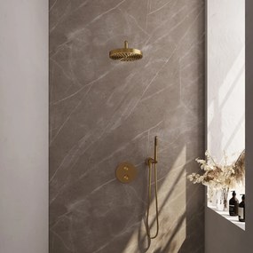 Brauer Stripe inbouw regendouche rond met 25cm hoofddouche, gebogen muurarm en staafhanddouche set 38 messing geborsteld PVD