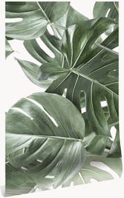 Non-woven wallpaper Monstera