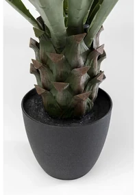 Kare Design Agave Kunstplant Agave