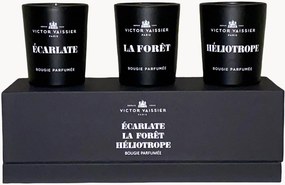 Geurkaarsen Bougie (Écarlate, Héliotrope, La Forêt), 3-delig