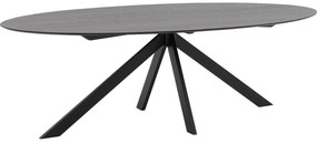 Goossens Excellent Eettafel Uniek, Ovaal 260 x 120 cm