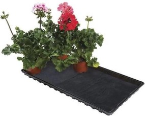 ACD watertray om planten op te kweken - zwart - 56 x 31cm - 3cm dik