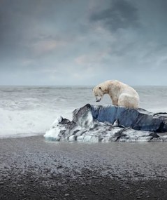 Kunstfotografie Polar bear on the melting iceberg, narvikk, (35 x 40 cm)