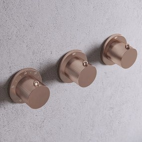 Saniclear Plus Curved Pro inbouw regendouche met inbouw douchekop 30x30cm en staafhanddouche geborsteld koper