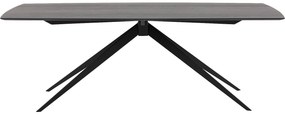 Goossens Excellent Eettafel Uniek, Semi rechthoekig 260 x 100 cm