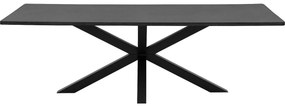 Goossens Eettafel Stone, Rechthoekig 240 x 110 cm