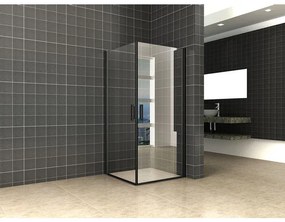 Wiesbaden Salone cabine met 2 draaideuren 900 x 900 x 2000 x 8 mm nano helder glas/mat zwart 20.3918
