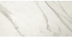 Fap Ceramiche wand- en vloertegel - 30x60cm - 10mm - Rechthoek - gerectificeerd - Marmerlook - Wit/zwart mat SW07310511-5