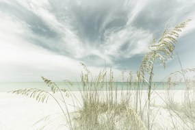 Foto Heavenly calmness on the beach | Vintage, Melanie Viola
