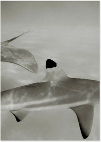 Digitale print Abyssal