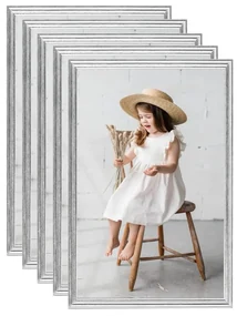 vidaXL Fotolijsten 5 st voor wand of tafel 59,4x84 cm zilverkleurig