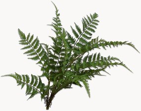 Kunstbloemen Fern, 2-delig