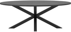 Goossens Eettafel Stone, Ovaal 210 x 120 cm