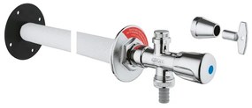 GROHE Eggemann vorstvrije gevelkraan 1/2 verstelbaar 17 50cm chroom 41208000