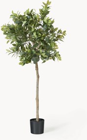 Kunstplant Money Tree