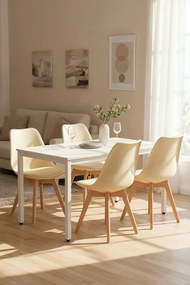 Set 4 Synk Basic Stoelen