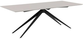 Goossens Eettafel Invincible, Rechthoekig 220 x 100 cm