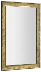 Sapho Bergara spiegel 64x104cm goud