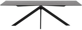 Goossens Excellent Eettafel Uniek, Rechthoekig 260 x 100 cm