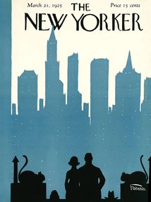 Ilustratie The NY Magazine Cover 402