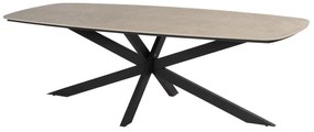 Taste by 4 Seasons Prado tuintafel antraciet met keramisch blad in barrelvorm 240 x 105 cm  Tuintafel    beige weerbestendig